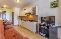 Living room and kitchen, photo 1